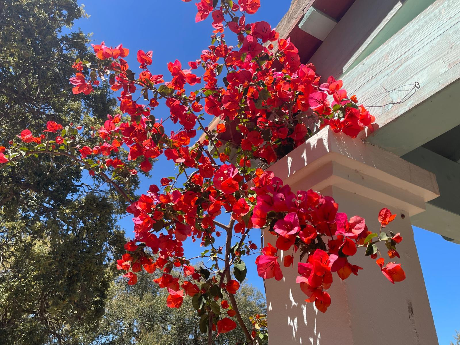 B98Le8~d7M9k3DegpEFZhS0lI_F8U4XZVz~HWxt~mGgYekxX9nCAxh0ZipZlAjNxEM6s1ur~IyRoHk21zVXx39XWTj0JB2QgBwtLp2vPvlXbdz0kl6svgrrgRpE2oZDGxG_ywc3oBDwM1pXREN4i