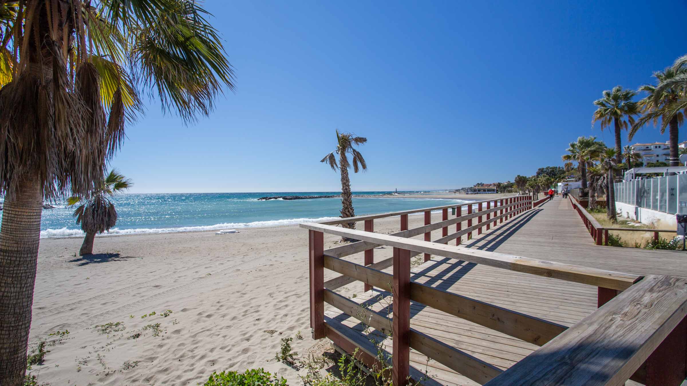 Strand von Puerto Banus mit Palmen und Promenade