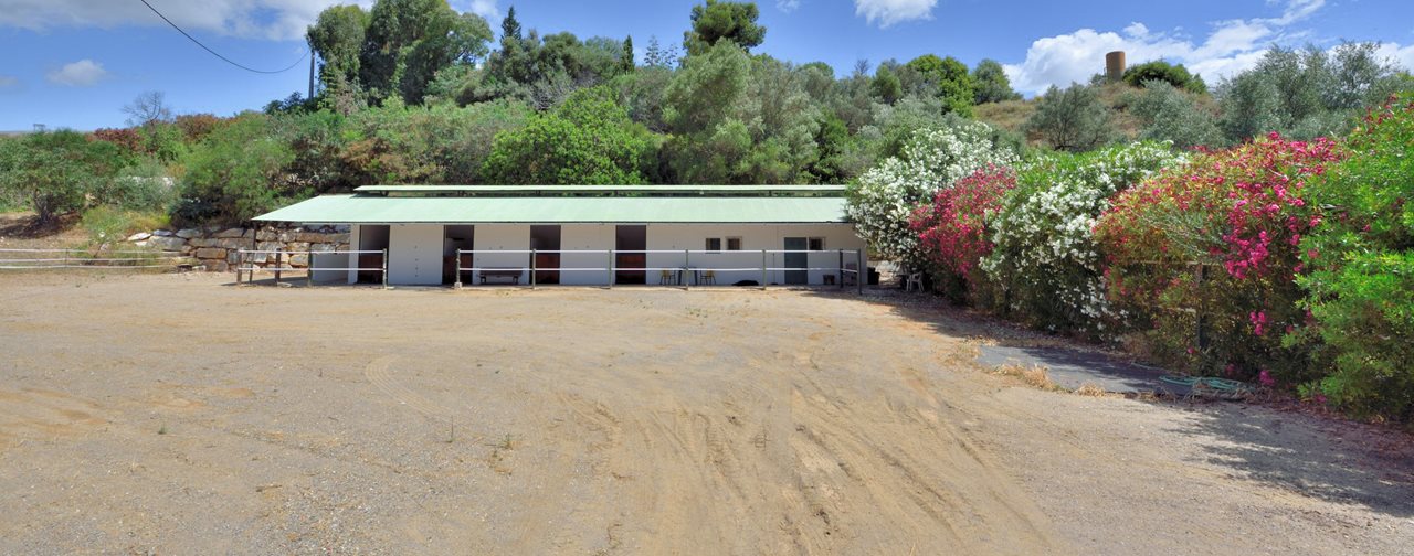 Immobilien_Mijas_0927-46