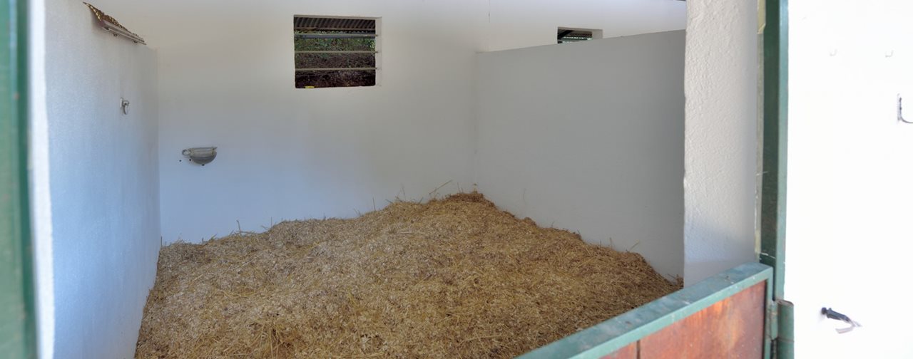 Immobilien_Mijas_0927-47