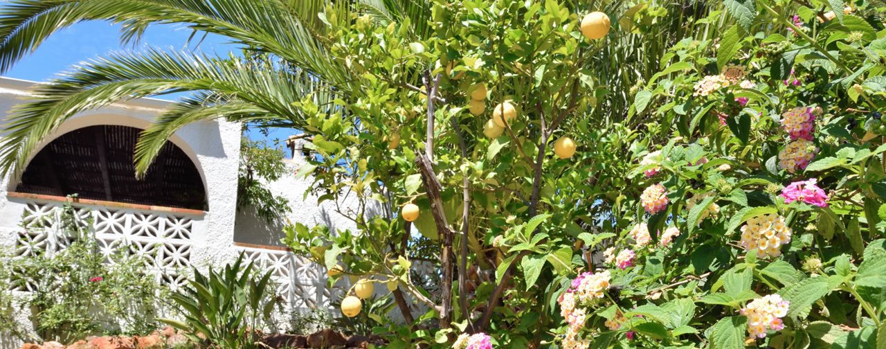 Immobilien_Mijas_0927-48