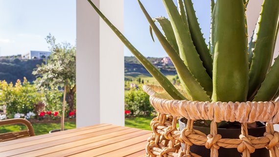 1343 Immobilien Estepona-41 image