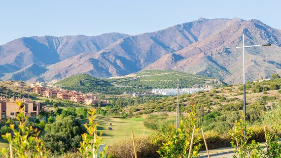 1343 Immobilien Estepona-42 image