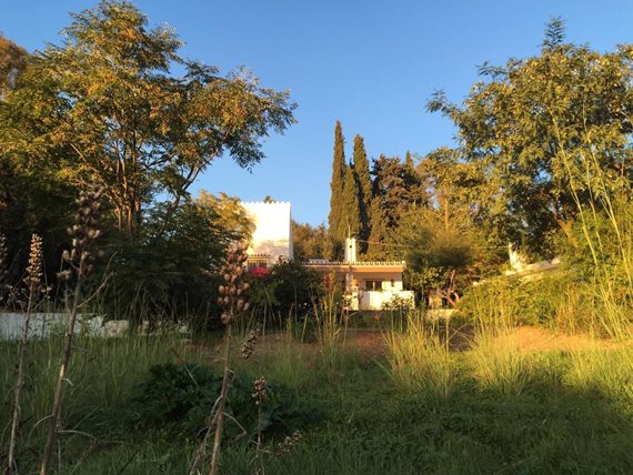 B98Le8~d7M9k3DegpEFZhS0lI_F8U4XZVz~HWxt~mGgYekxX9nCAxh0ZipZlAjNxEM6s1ur~IyRoHk21zVXx39XWT2D9Fp9pjDBlwxGKFplOaaS~VDcGTCisi9bH~4SwVon~kJOHbwblBq8Uh0Yf image