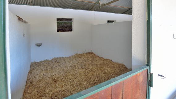 Immobilien_Mijas_0927-47 image