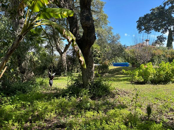 B98Le8~d7M9k3DegpEFZhS0lI_F8U4XZVz~HWxt~mGgYekxX9nCAxh0ZipZlAjNxEM6s1ur~IyRoHk21zVXx39XWTj0JB2Qh11q5AYcktB0t7uRiUMT_WcpIx2ov0jceiIDkT7351GqpEkQnK_Af