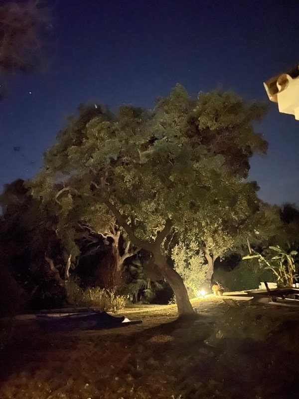 B98Le8~d7M9k3DegpEFZhS0lI_F8U4XZVz~HWxt~mGgYekxX9nCAxh0ZipZlAjNxEM6s1ur~IyRoHk21zVXx39XWTj0JB2QipJgXHPcvdCuKZgVuoCnWIhESozGOgWEO5a1f1pfd2xH0F7mLV7Mn