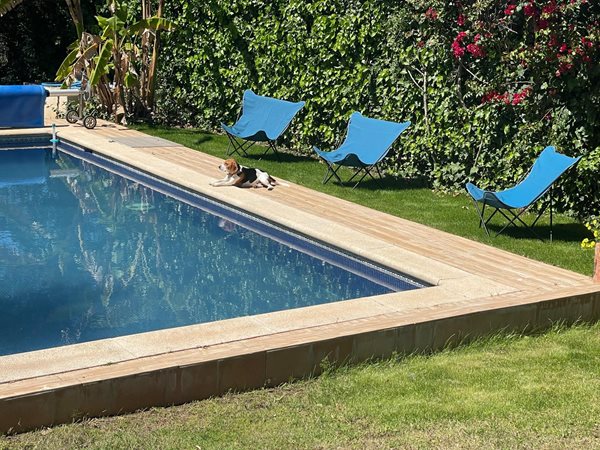 B98Le8~d7M9k3DegpEFZhS0lI_F8U4XZVz~HWxt~mGgYekxX9nCAxh0ZipZlAjNxEM6s1ur~IyRoHk21zVXx39XWTj0JB2Qm5zUi1a1fymp4q9qYZQj2cDCfNVnQifuUQDHD7pTjGscs6s5HGgyZ